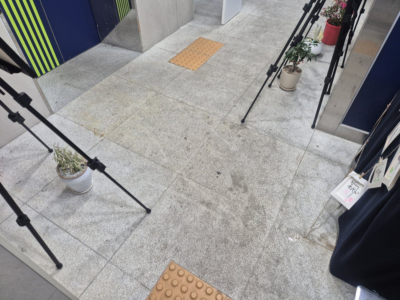 주민센터 카펫·입구 바닥청소 작업 전